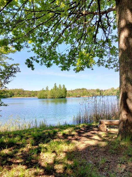 La Réserve Naturelle Nationale de la Bassée