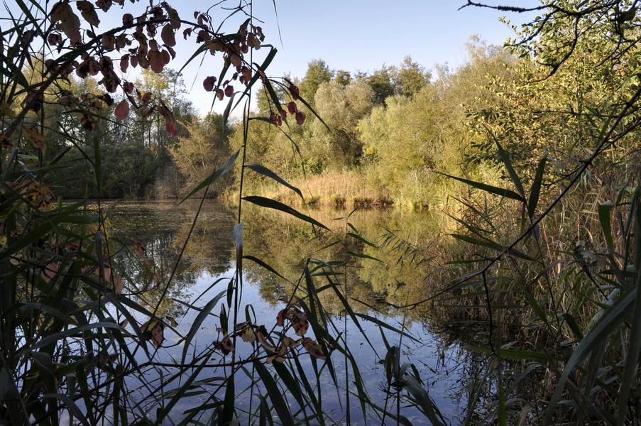 La Réserve Naturelle Nationale de la Bassée