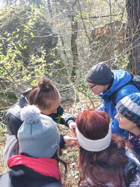 Se soigner avec les bourgeons et jeunes pousses