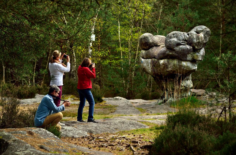 Forêt Domaniale de Fontainebleau