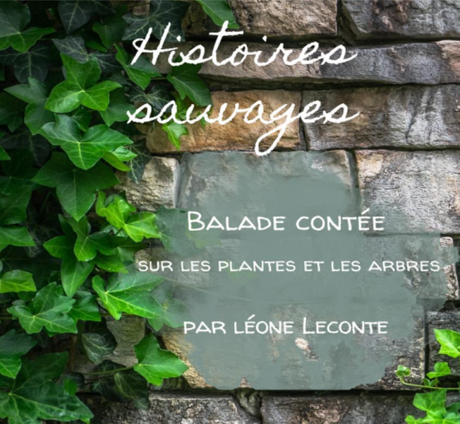 Histoires Sauvages, balade contée sur les plantes et les arbres