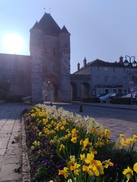 Visite guidée 