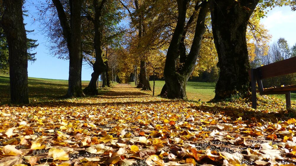 Arboretum du Val des Dames