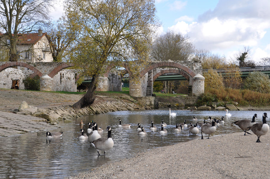 Ruines du moulin de Chelles