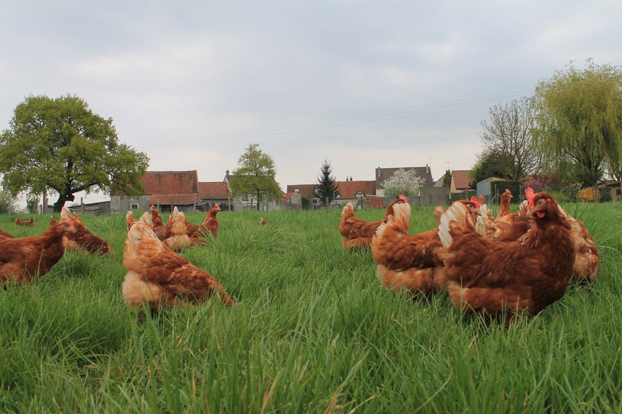 Ferme des Parrichets