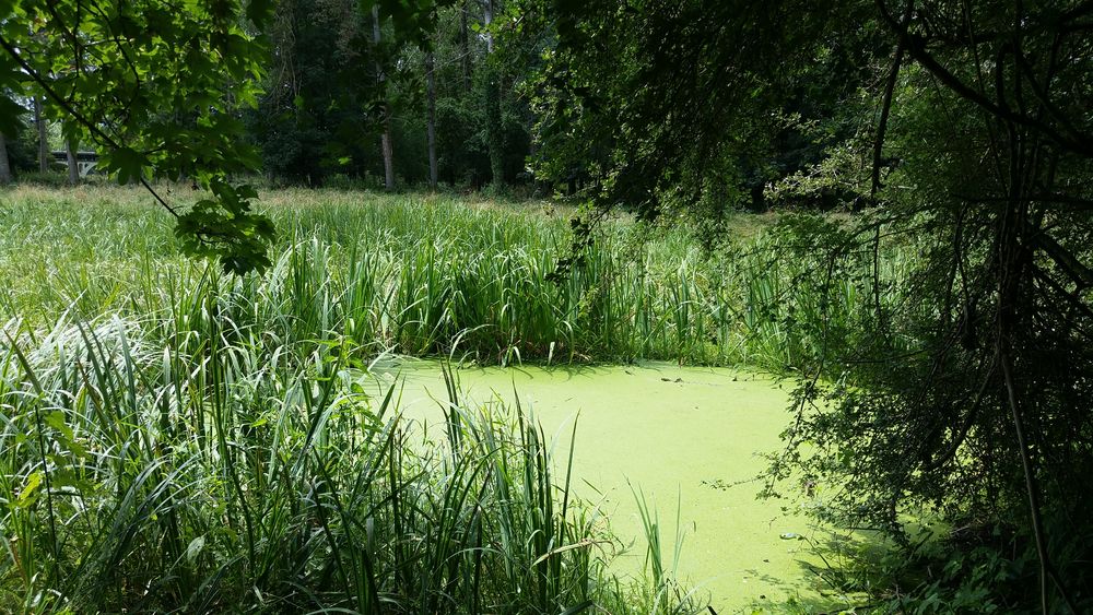 La Prairie Clemenceau