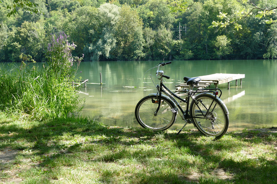 La Seine à vélo – De Bois-le-Roi à Moret-sur-Loing