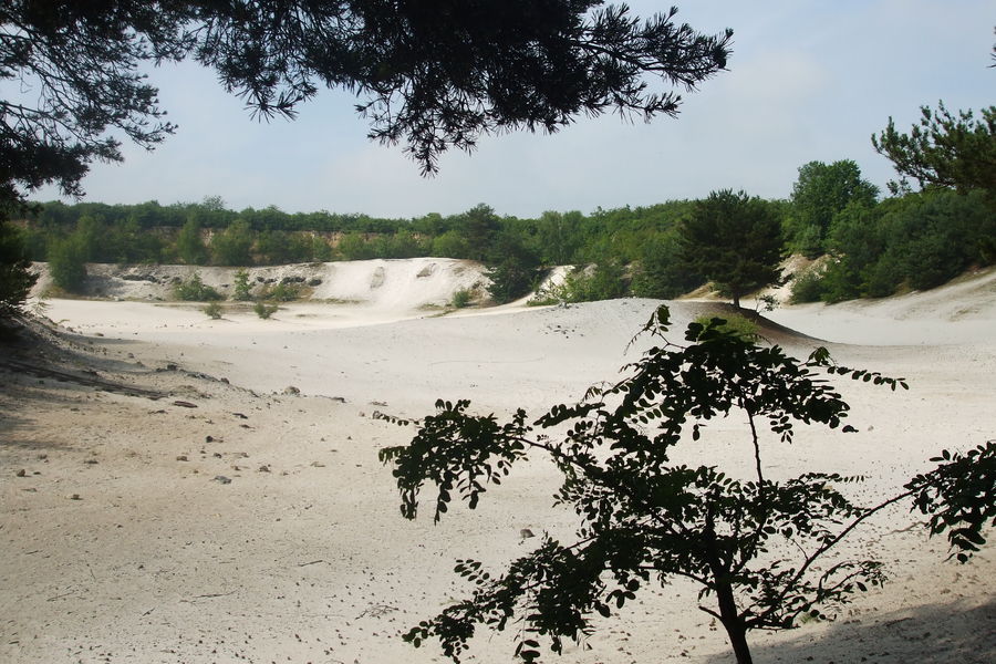 Ancienne carrière de sable