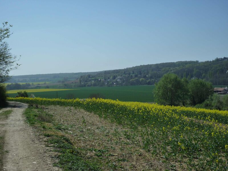 La Brie à vélo : de Coulommiers à Crécy-la-Chapelle