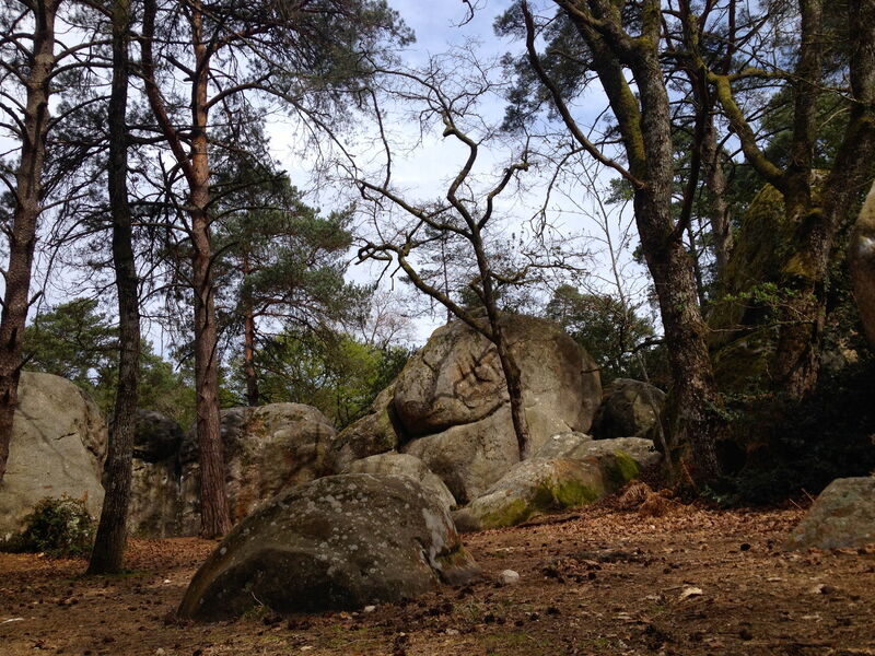 De Fontainebleau à Barbizon, entre Seine et forêt à vélo