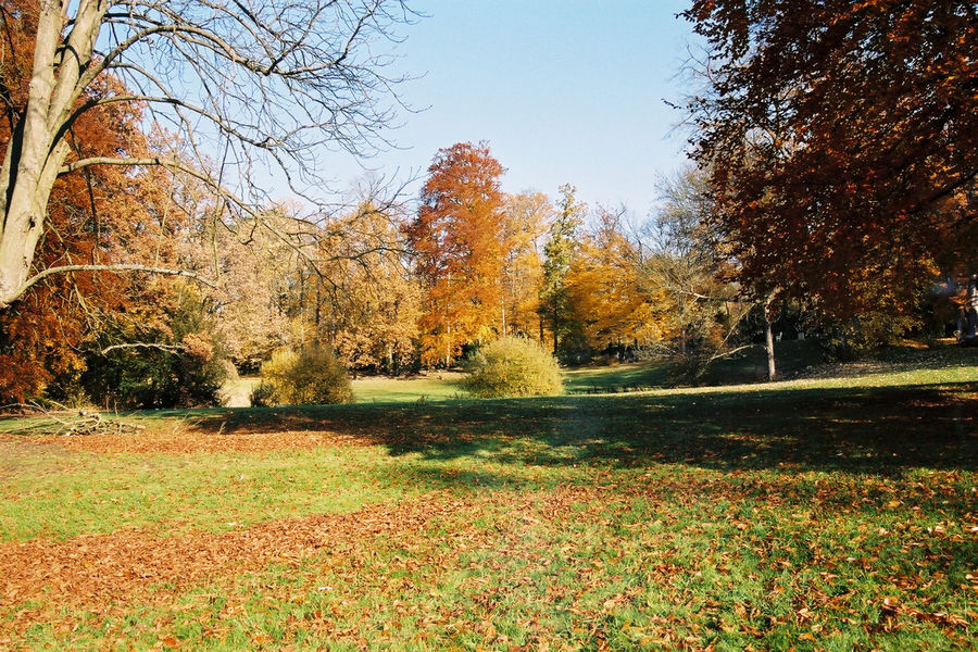 Le Parc de la Fontaine aux Pigeons