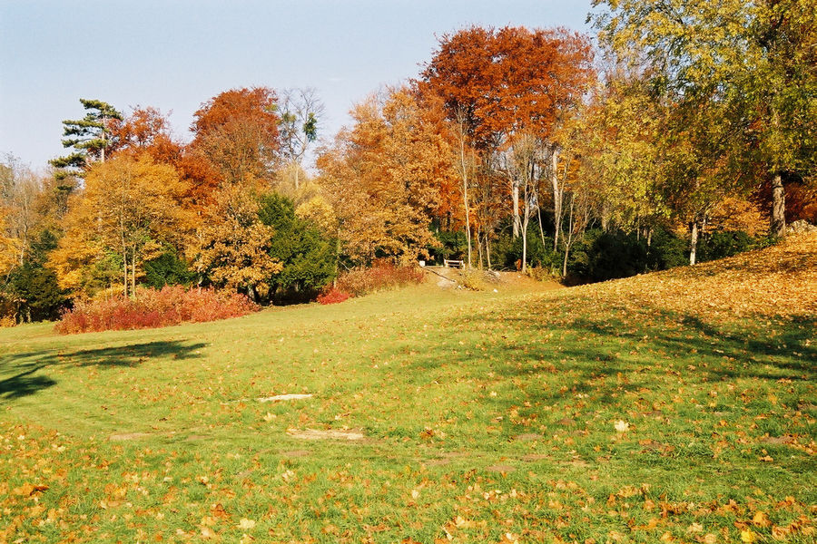 Le Parc de la Fontaine aux Pigeons