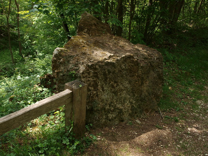 Le Bois De La Barre