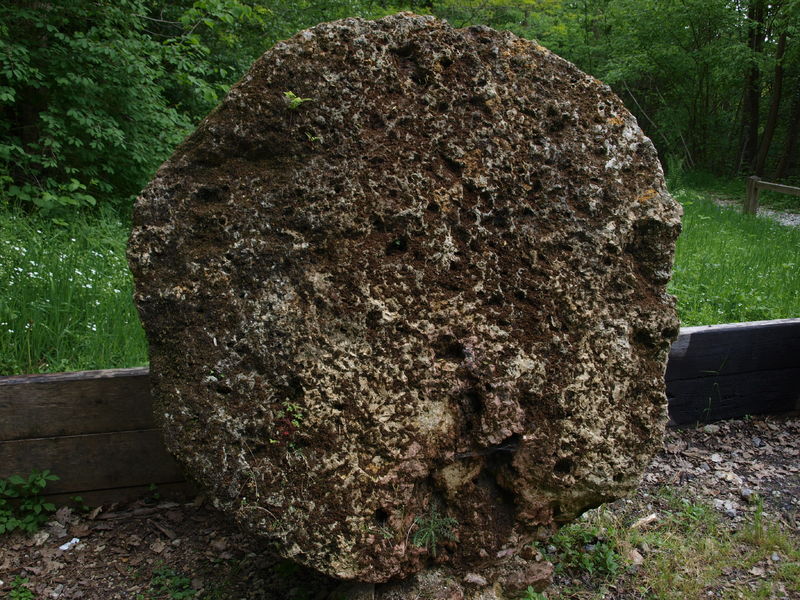 Le Bois De La Barre