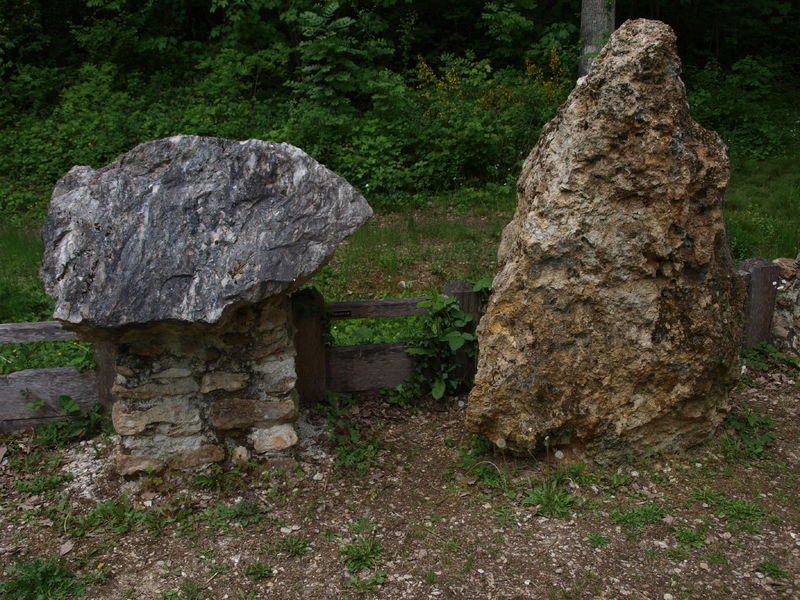 Le Bois De La Barre