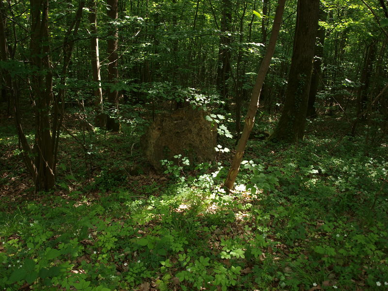 Le Bois De La Barre