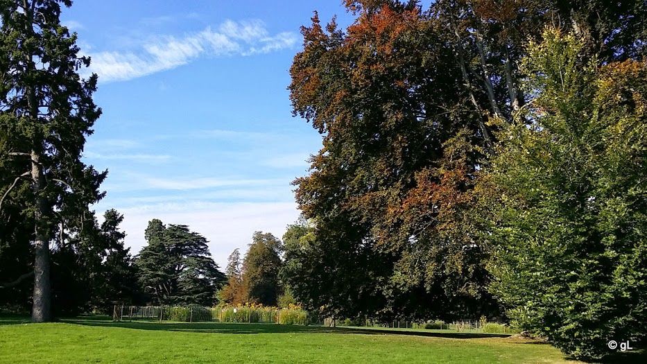 Le Parc culturel de Rentilly Michel-Chartier