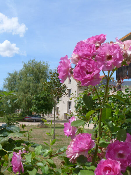 La Ferme du Grand Hôtel du Bois