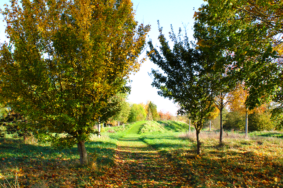 Sentier Nature de Coulommiers