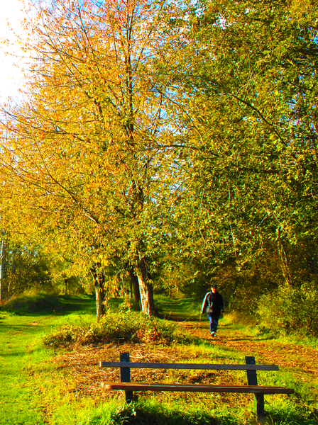 Sentier Nature de Coulommiers