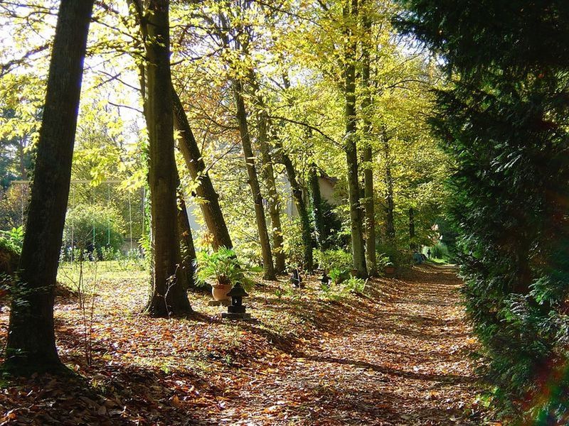 Domaine de Chantemerles