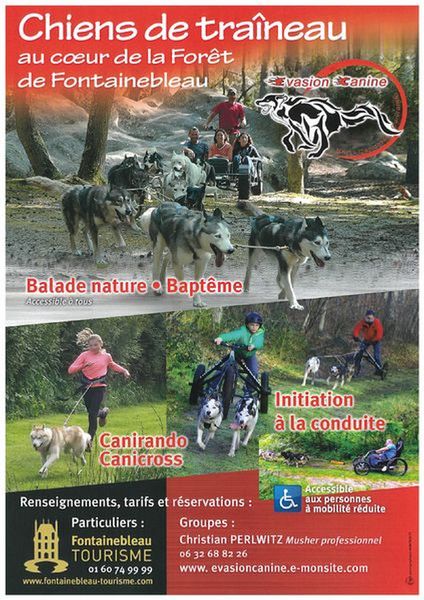 Baptême en kart chiens de traineau