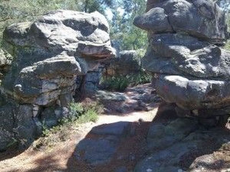 Forêt des 3 Pignons et circuit des 25 bosses