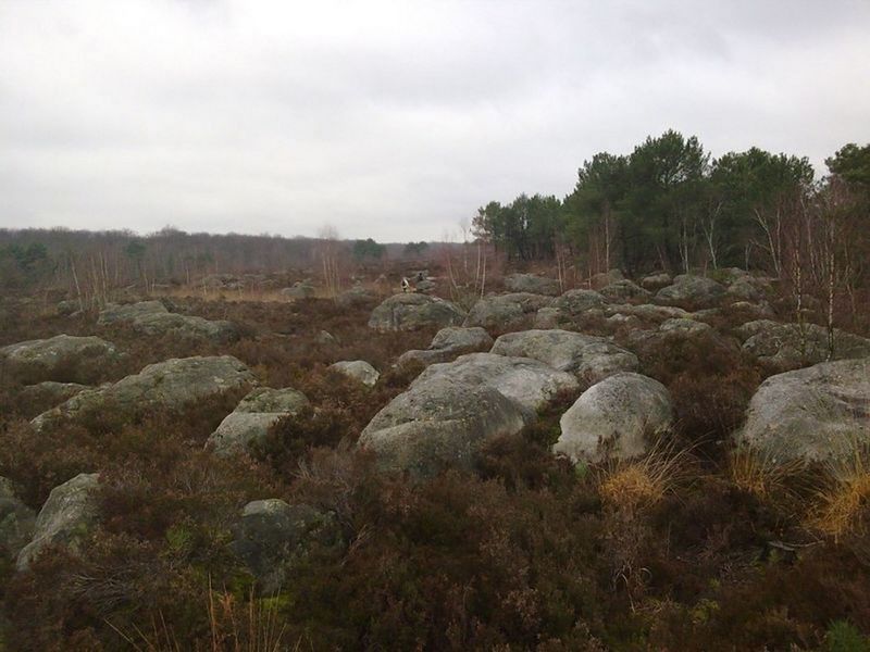 Forêt des 3 Pignons et circuit des 25 bosses