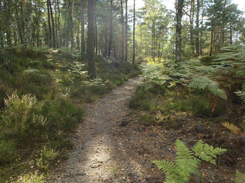 Promenade de la Gorge aux Archers