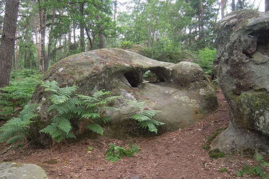 Promenade de La Mare aux Fées, la Malmontagne et la Grotte Béatrix