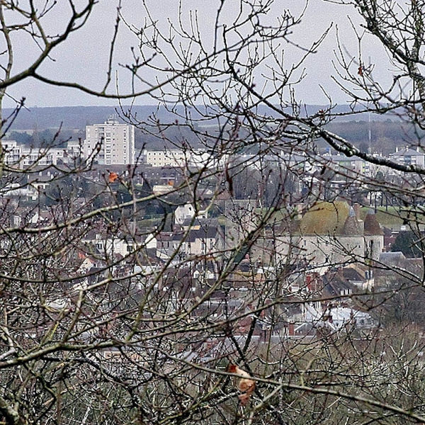 Point de vue de la Grande Ecole