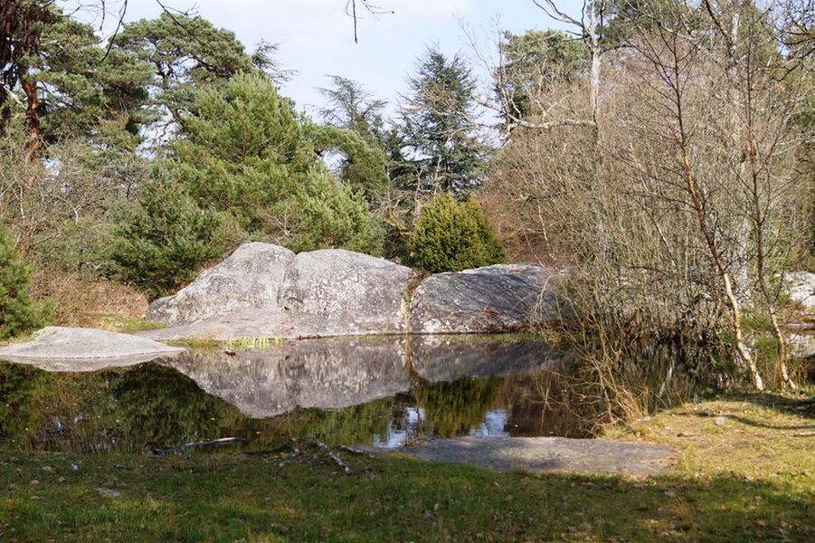 Sentier des Gorges de Franchard