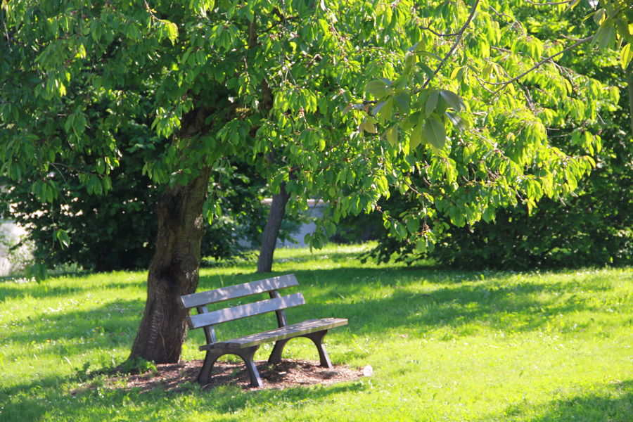 Parc du Mont Evrin