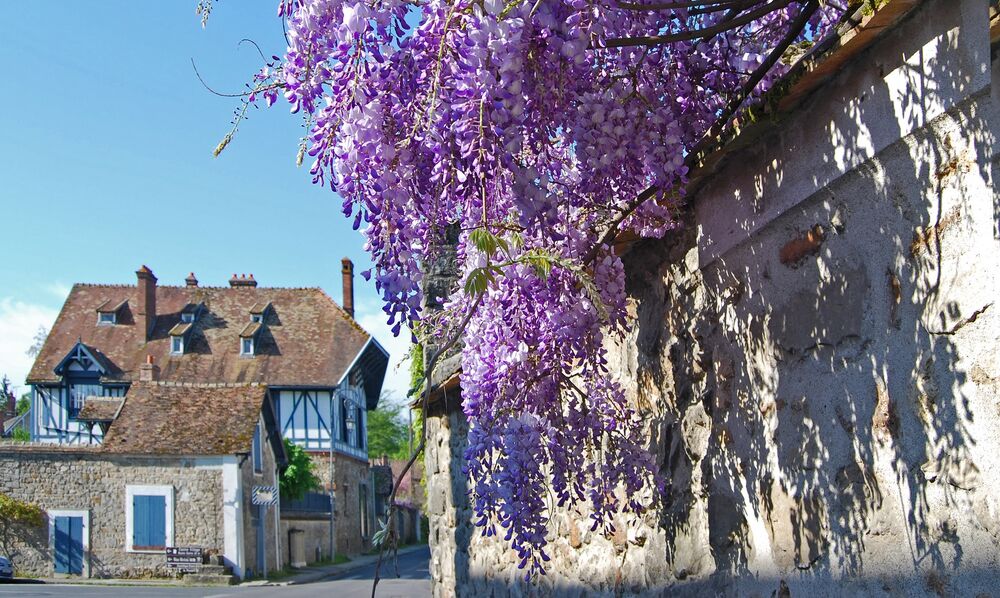 Visite guidée du village des peintres de Barbizon