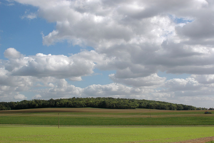 Espace naturel sensible : La butte de Montassis