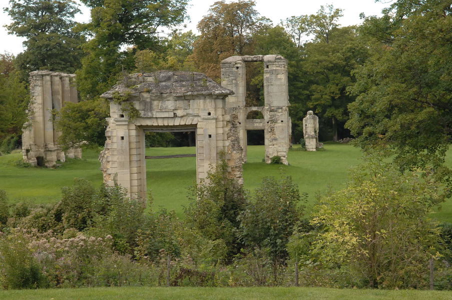 La forêt de Montceaux