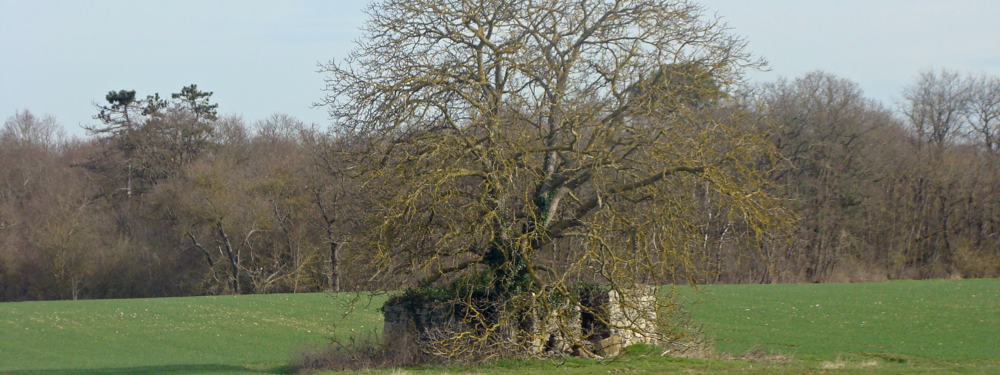 Maisoncelles-en-Gâtinais