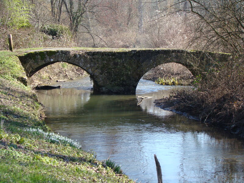 La rivière le Fusain