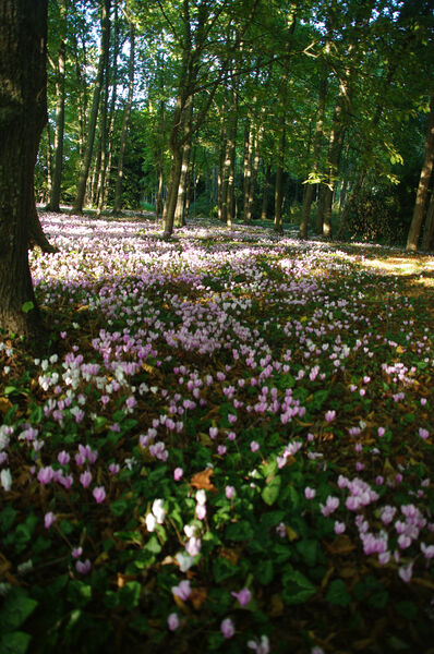 Le Parc Jacqueline Provent