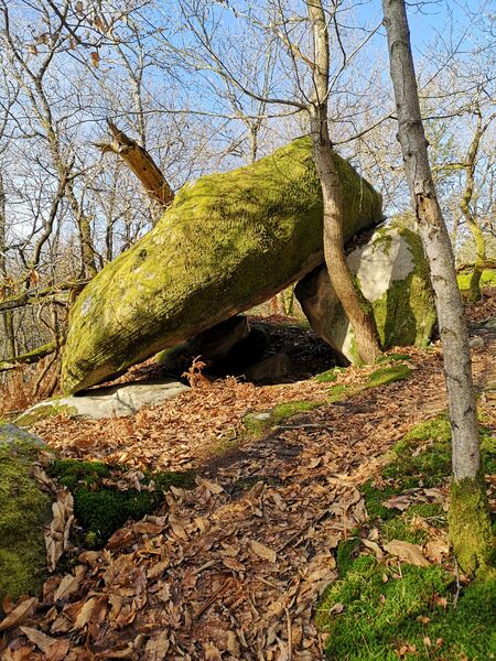 Chemin de petite randonnée n° 1 à Poligny