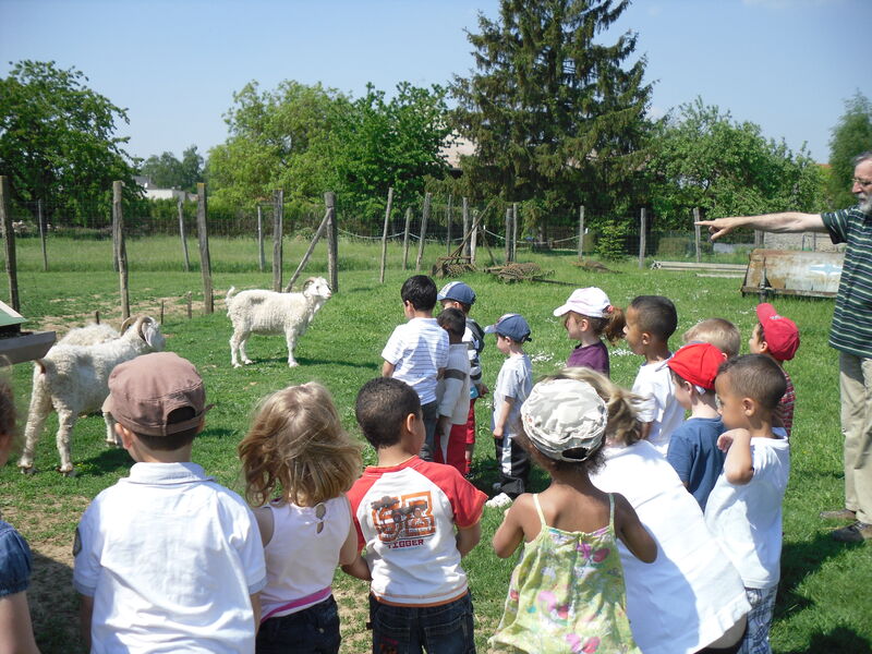 Ferme de Filbois