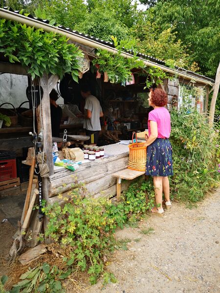 Le jardin dans la vallée