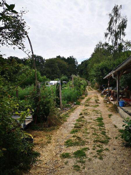 Le jardin dans la vallée