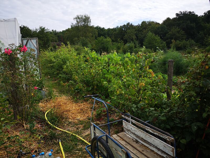 Le jardin dans la vallée