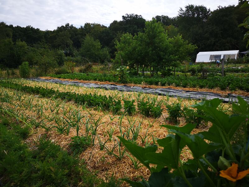 Le jardin dans la vallée