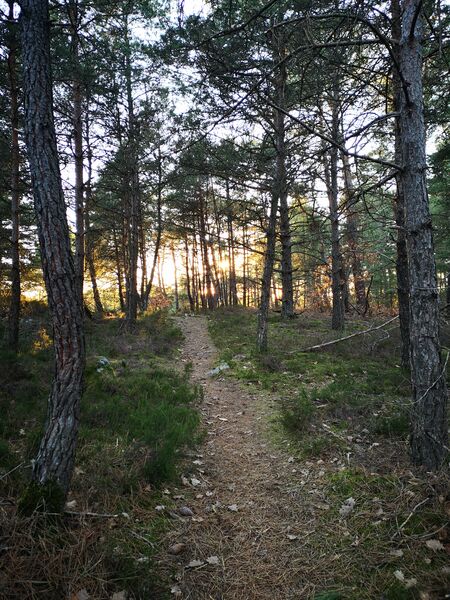 Chemin de petite randonnée n° 6