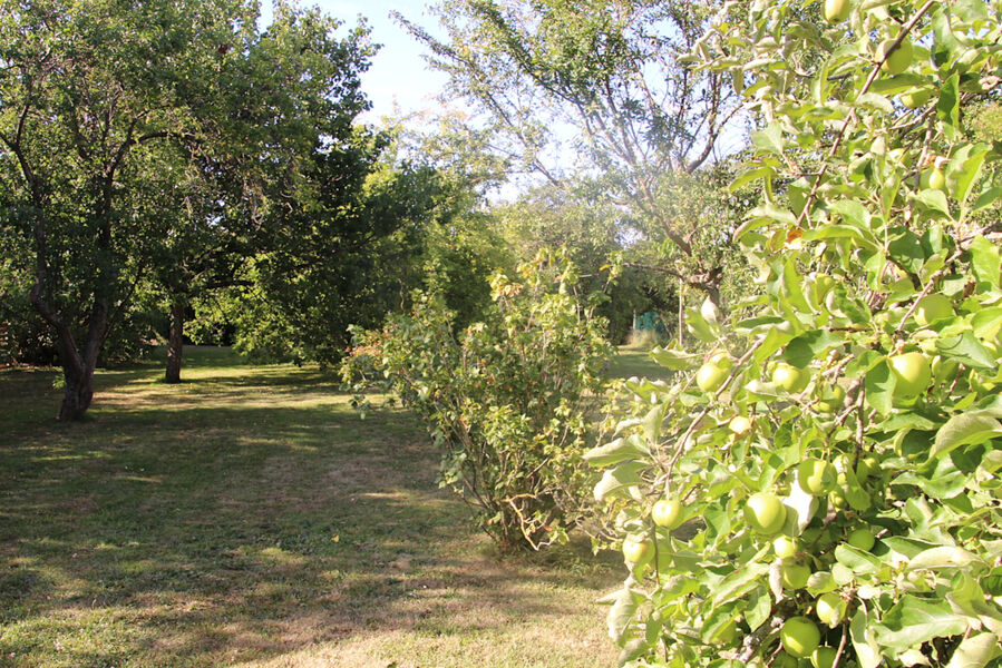 A l'Orée des Champs