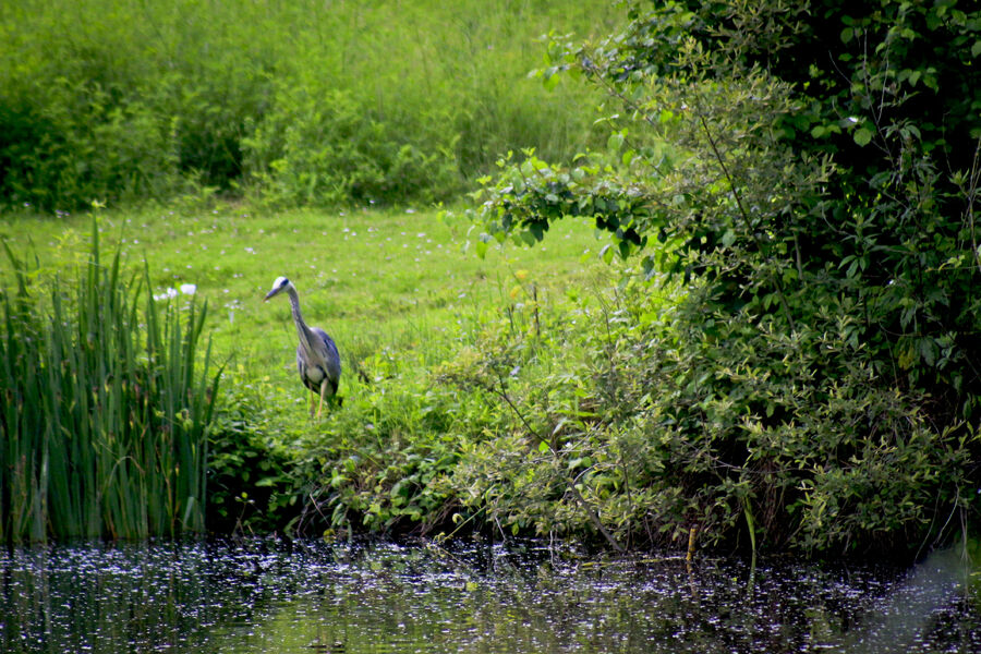 Parc naturel du Pâtis