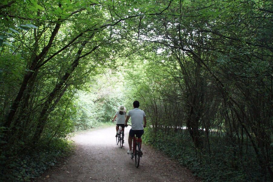 Parc naturel du Pâtis