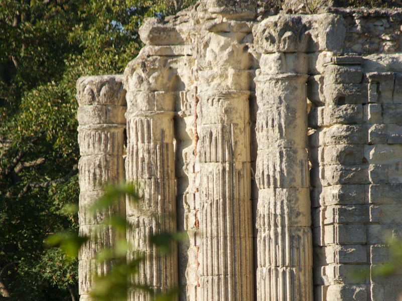 Vestiges du Château de Montceaux-les-Meaux